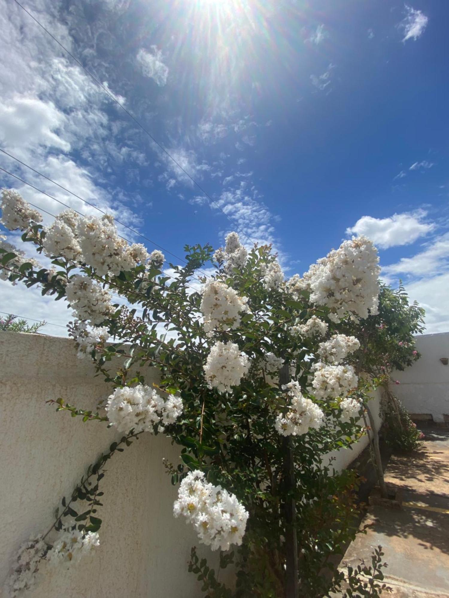 Queiroz Palace Hotel Siqueira Campos Eksteriør bilde